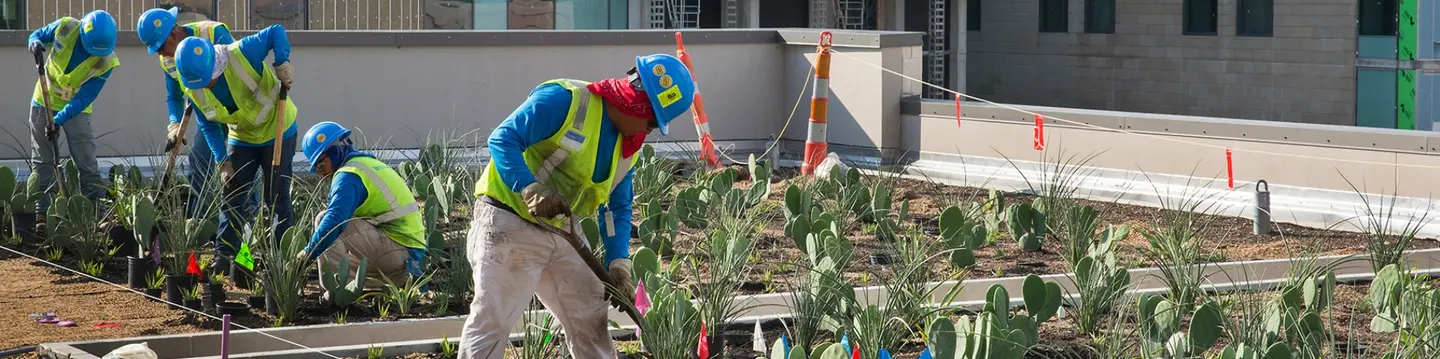 Innovative Green Roof
